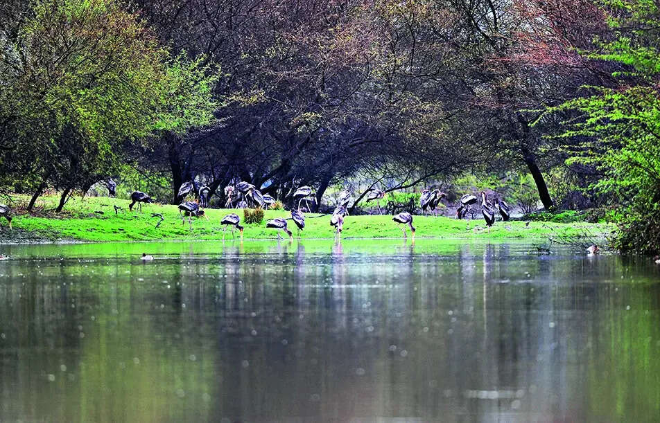 Deo Kishanpura, Jaipur Map, Property Rates, Projects, Photos, Reviews