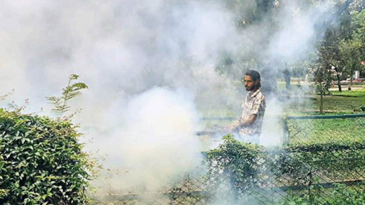 Haridwar Road, Dehradun Map, Property Rates, Projects, Photos, Reviews