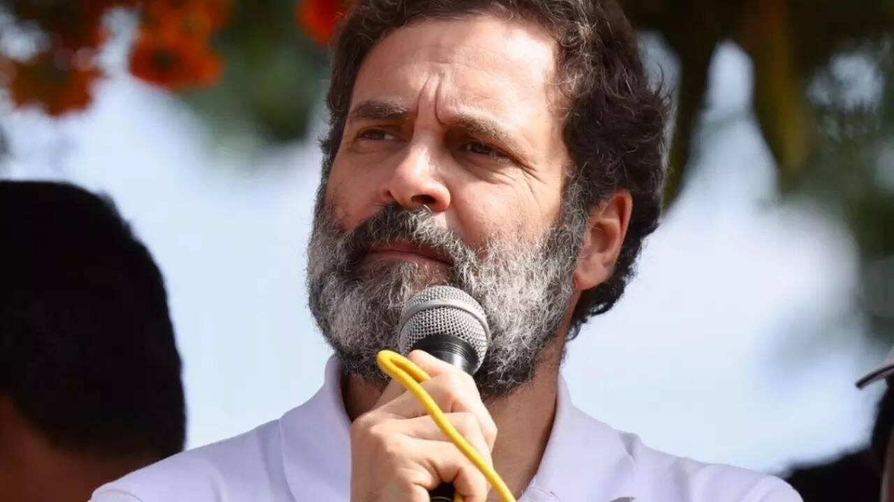Call us whatever you want, we are INDIA: Rahul to PM