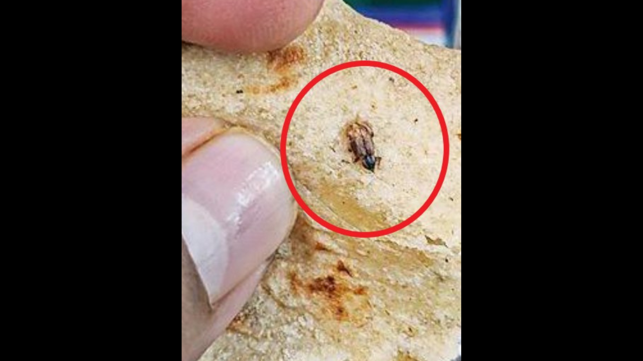 On July 24, a passenger on the C-8 coach of 20171 Rani Kamlapati-Nizamuddin Express tweeted that he had found a cockroach in the paratha served to him