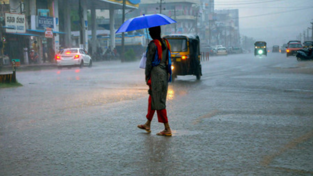 Karnataka coast witnesses scattered, light rains | Mangaluru News – Times of India