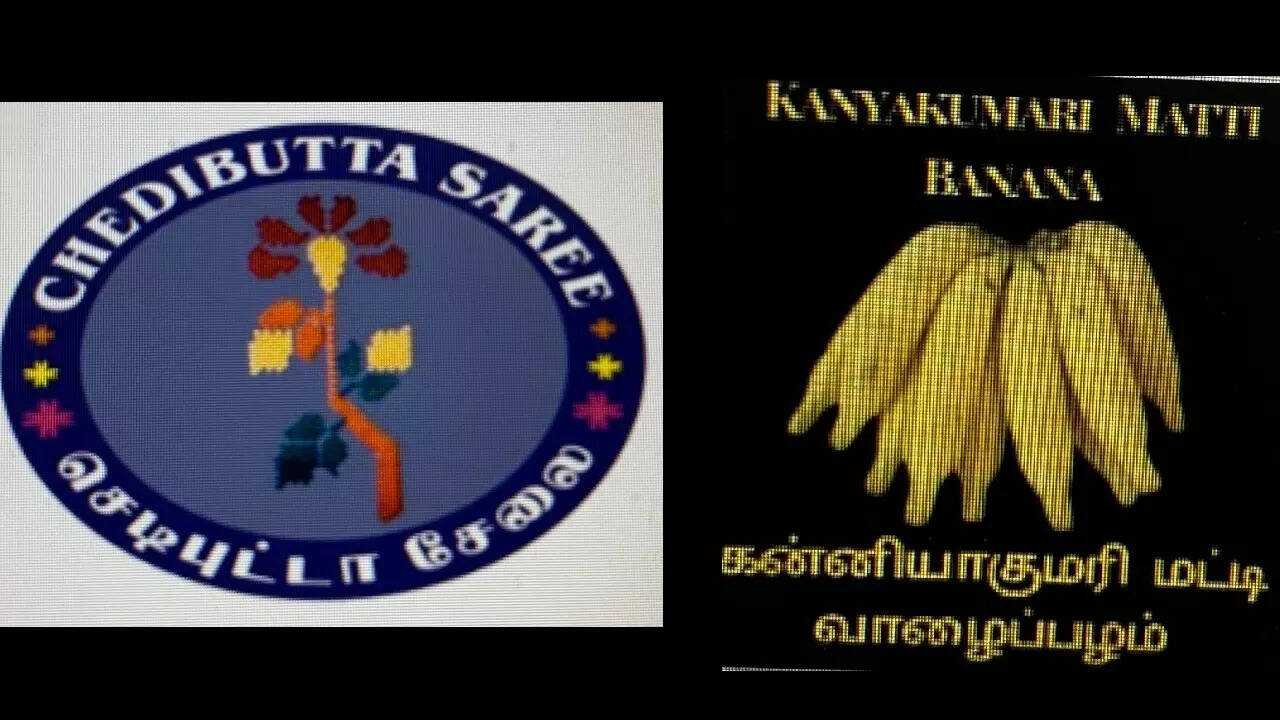 Top 129+ dress rehearsal meaning in hindi best seven.edu.vn