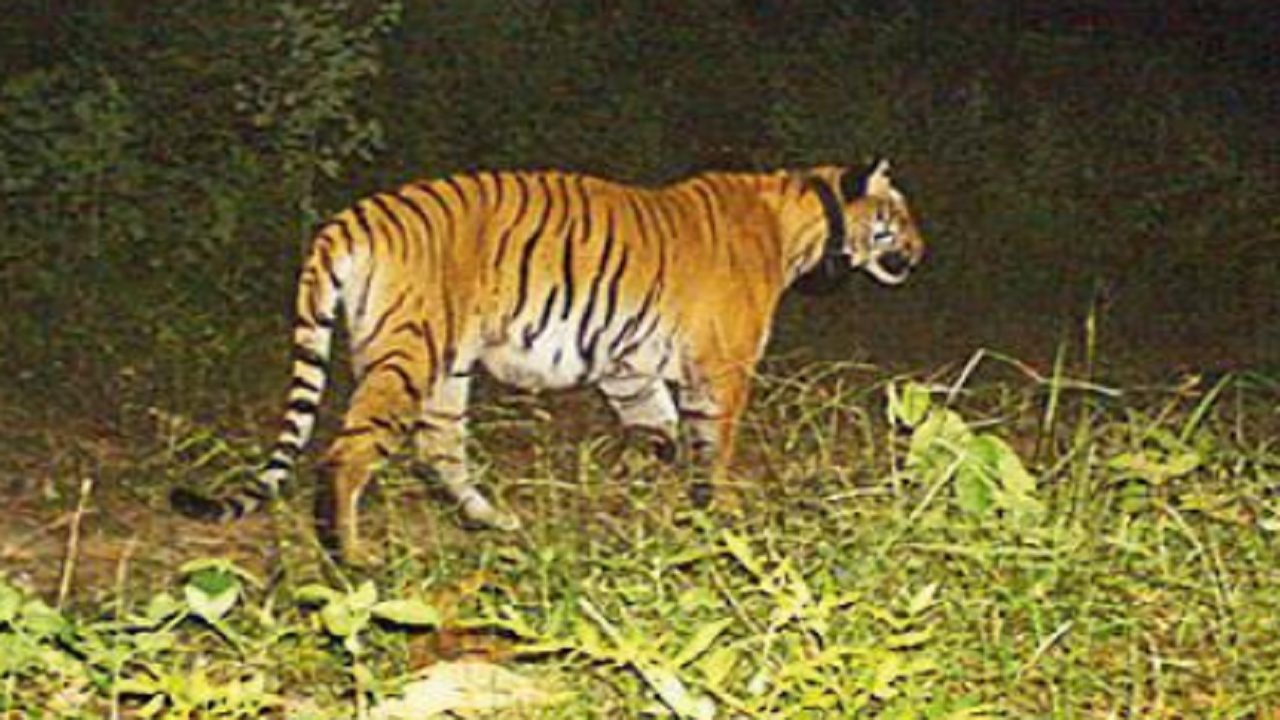 Cantt Road Bindaal Tirahya, Dehradun Map, Property Rates, Projects