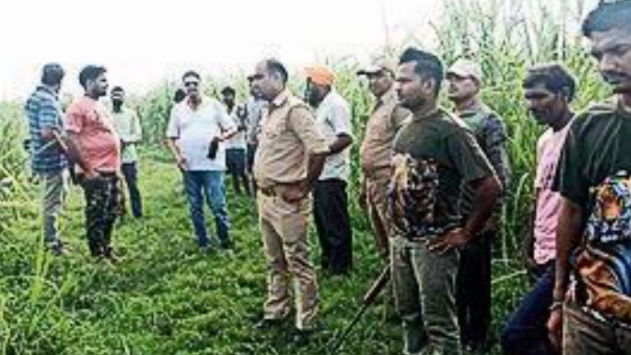 Green Park, Bareilly Map, Property Rates, Projects, Photos, Reviews, Info