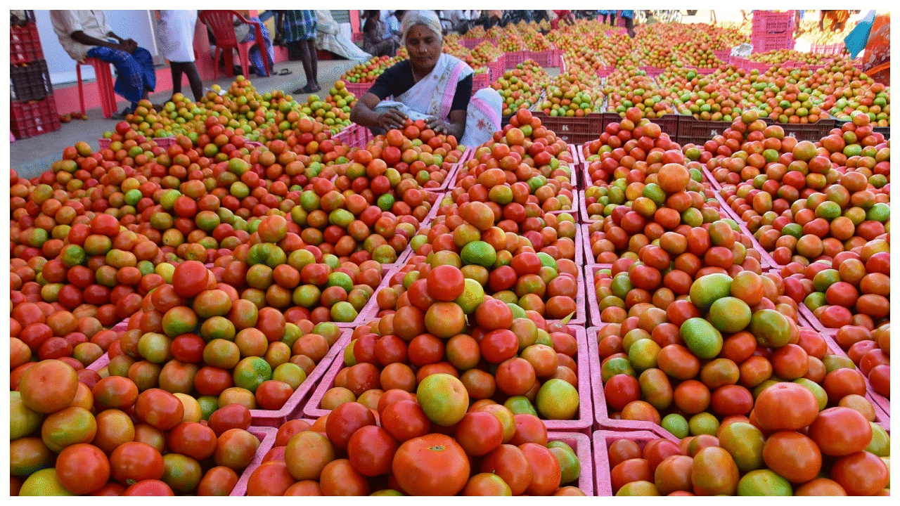 Tomato drives 28% rise in vegetarian thali price: Study