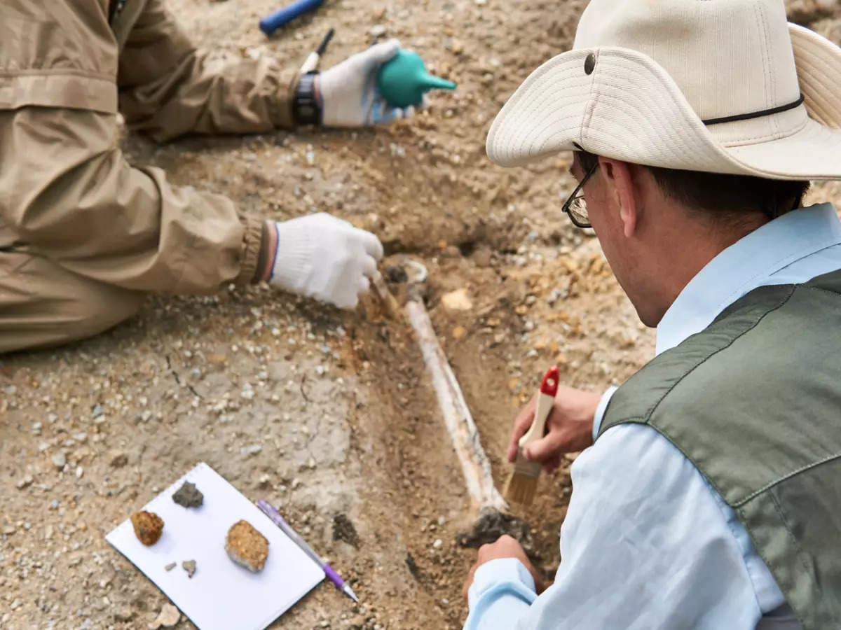 Dinosaur fossils discovered In Jaisalmer is the oldest of its kind in the world