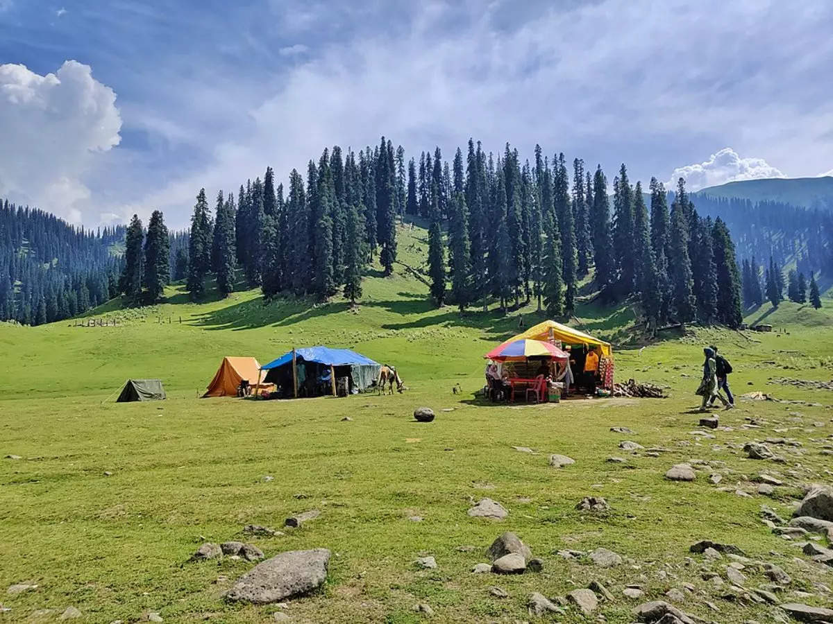 The valley in Kashmir that no travel site will tell you about!