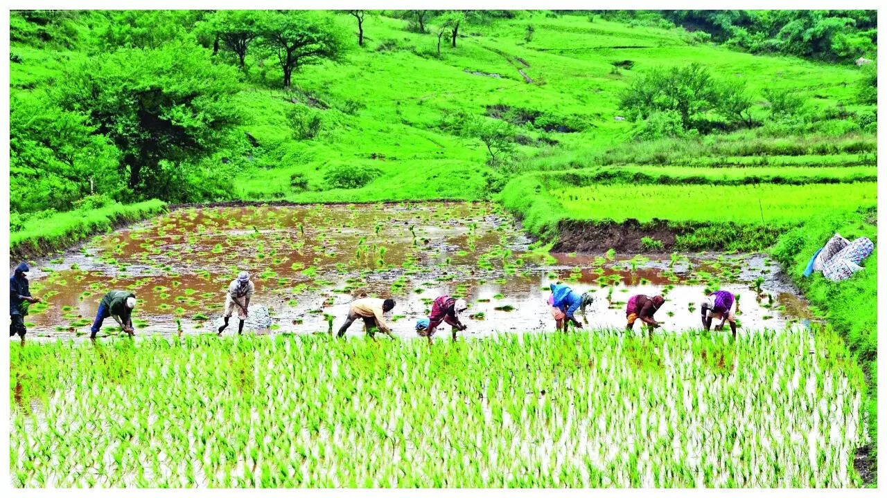 Phase 2 MIDC, Akola Map, Property Rates, Projects, Photos, Reviews, Info