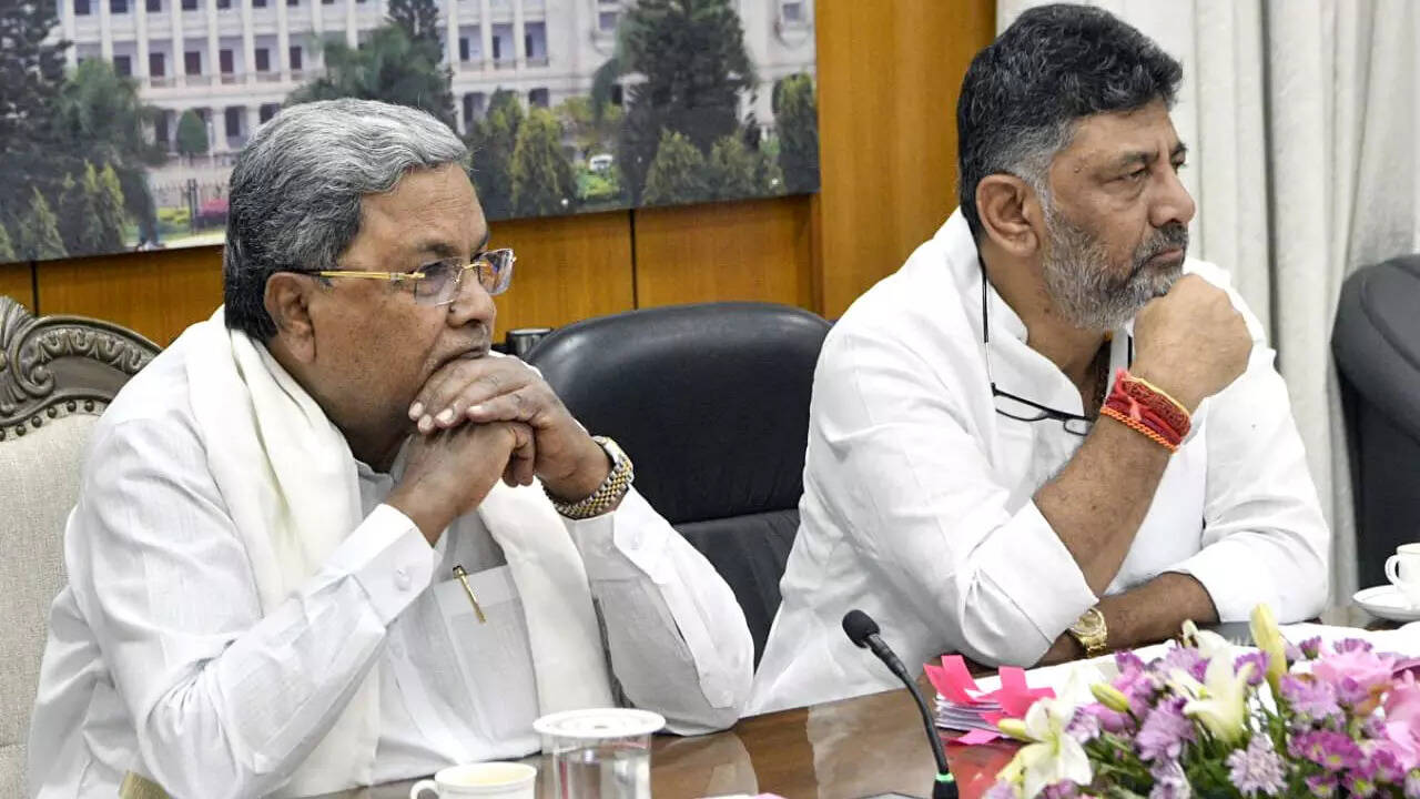 After protests, Karnataka scraps order to stop development work at temples