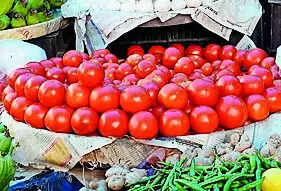 From Rs 260 peak, tomato now down to under Rs 100/kg