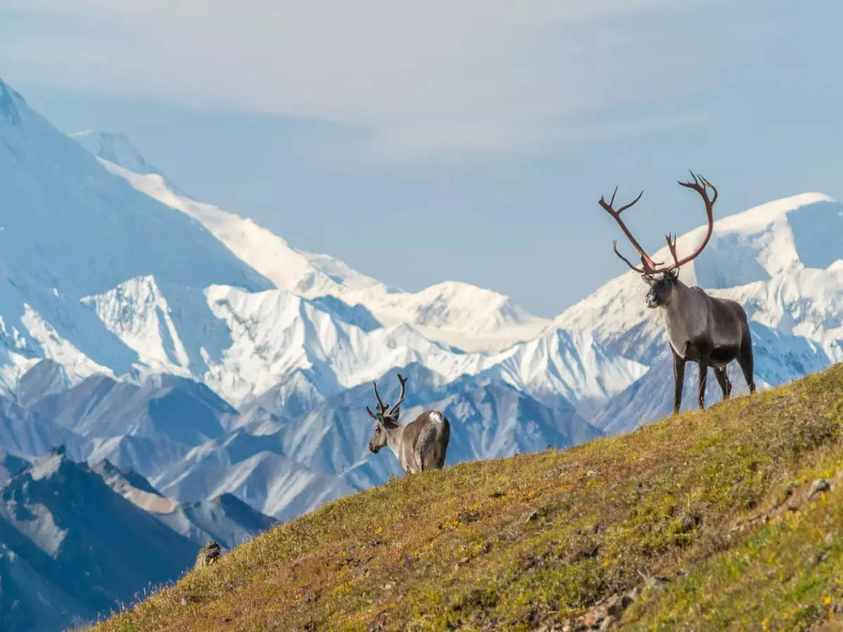 Awe-inspiring photos of US national parks | Times of India Travel