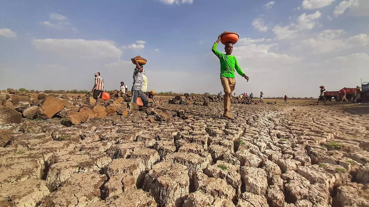 31% of India facing moderate to extreme dryness, next 2 weeks crucial: IMD data