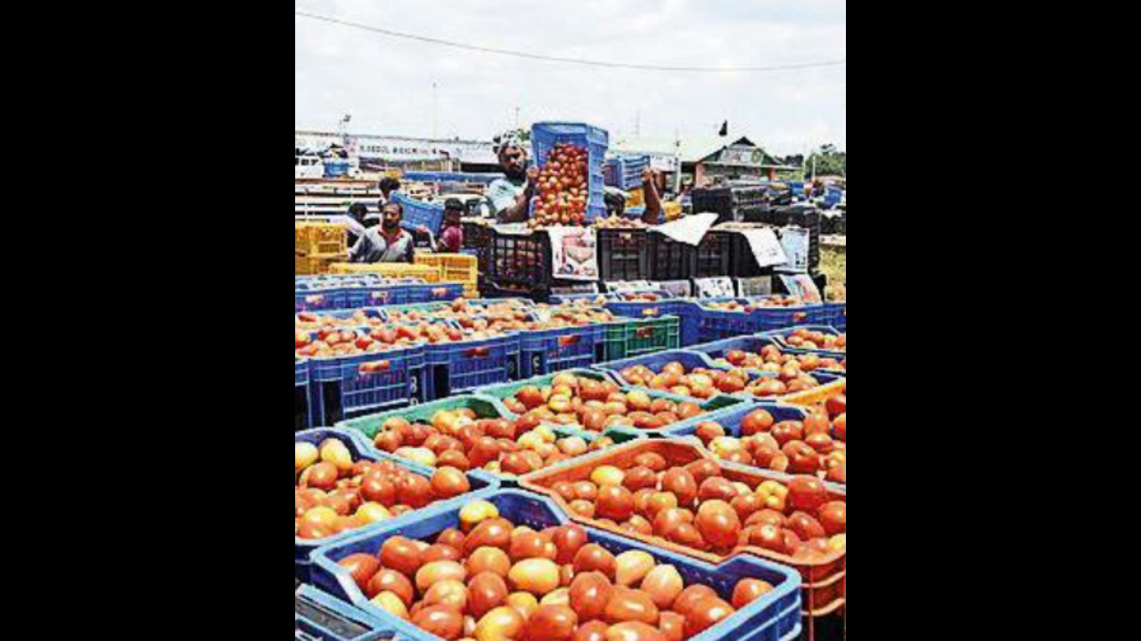 Rs 180/kg weeks ago, tomato prices plunge to Rs 14/kg in Mysuru | Mysuru News – Times of India