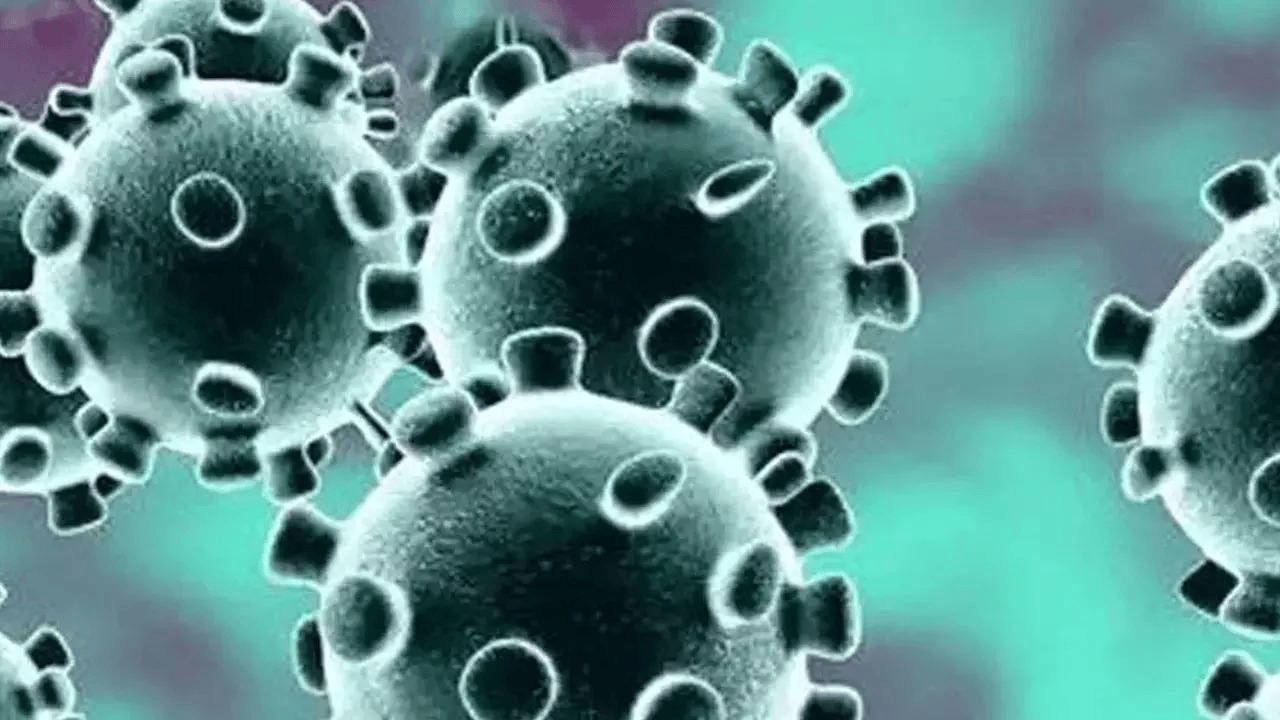 Mystery respiratory virus hits Hyderabad, dodges tests & jolts doctors