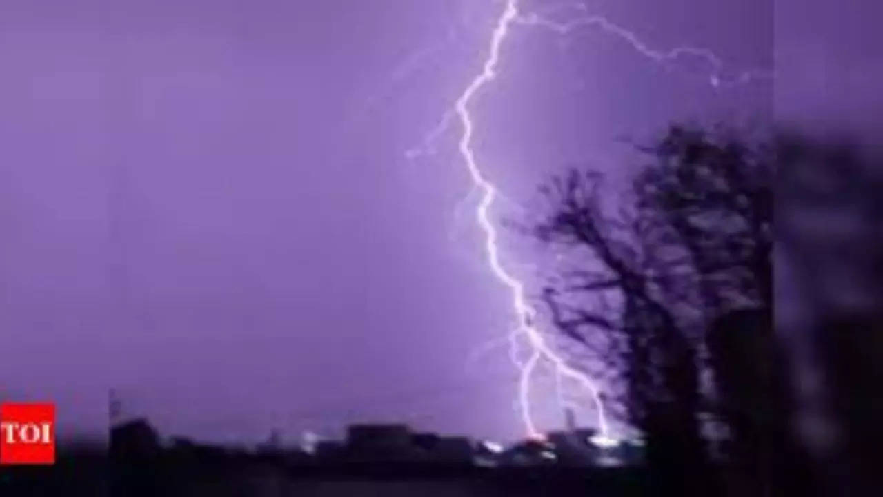 Odisha: Death toll in lightning strikes rises to 12 | Bhubaneswar News – Times of India