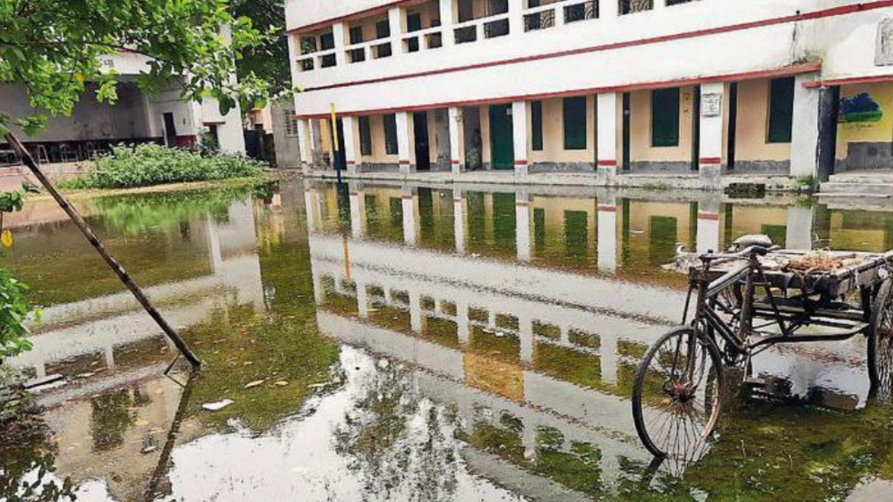 Stagnant water on the premises of a Patipukur school