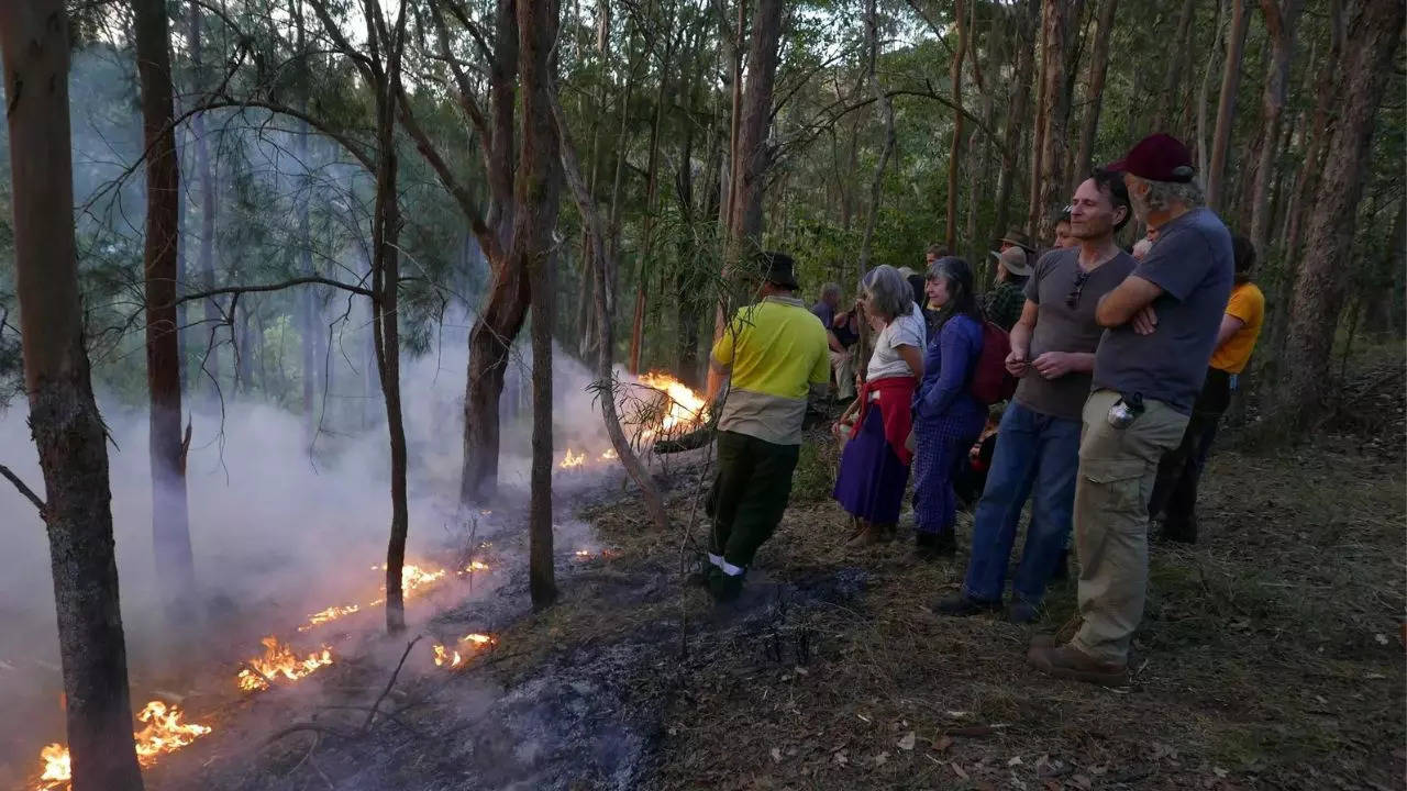 Australia readies for bushfire season with a revival of Indigenous 'cultural burning' (Reuters file photo)