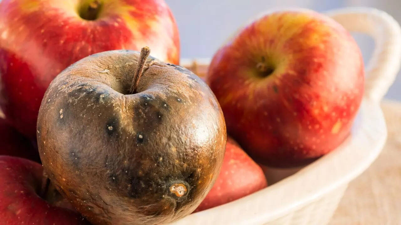 paleontology Tips to store fruits in the right way to prevent browning