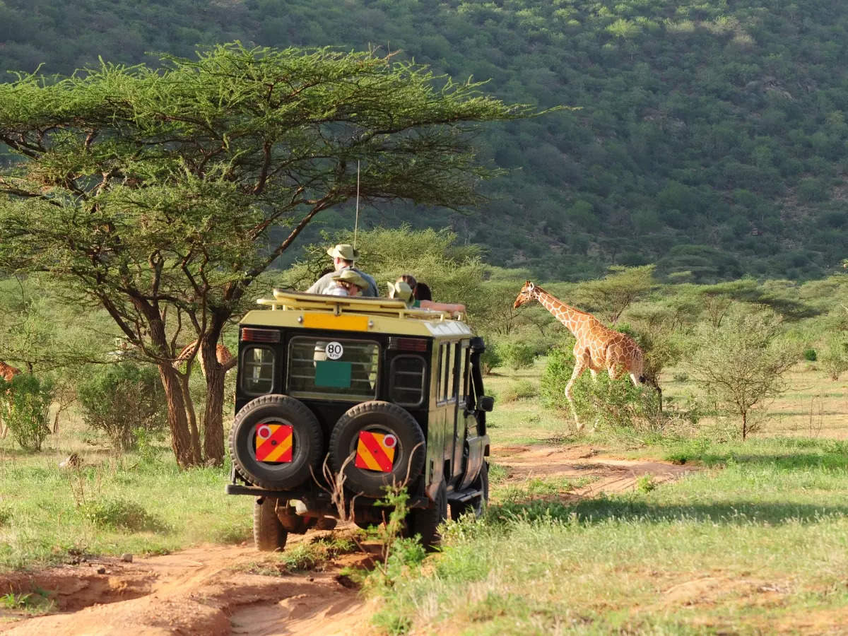 Perfect first-timers' itinerary for a holiday in Kenya