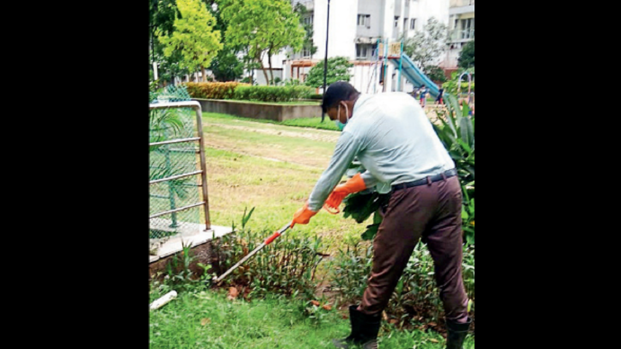 New Town reptile sightings prompt swift career switch: Many turn professional snake catchers | Kolkata News – Times of India
