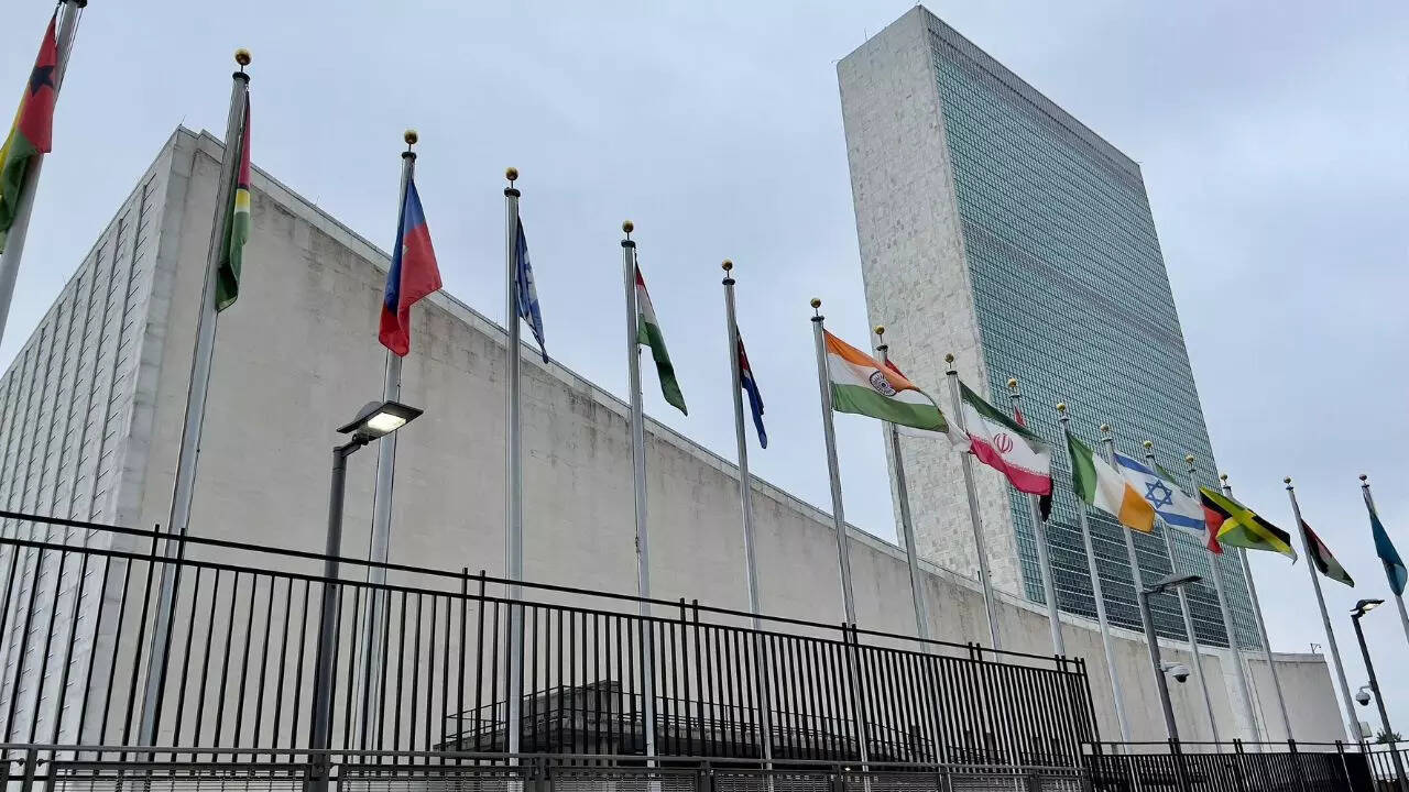 Looking beyond UN? Why India is focusing on Quad, Brics