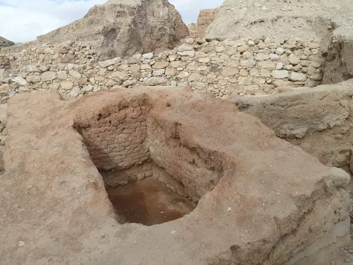 Prehistoric Tell es-Sultan site in Palestine makes it to UNESCO’s World Heritage list