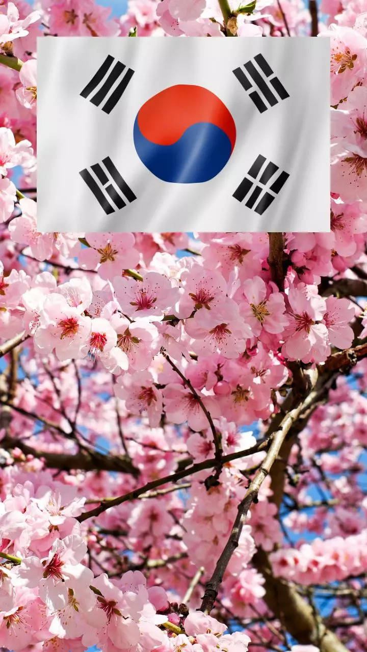 10 beautiful Korean words and their meaning