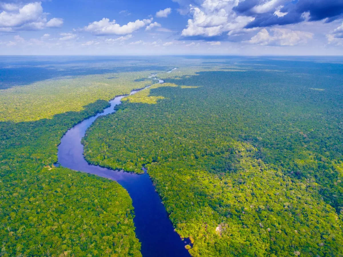 What's hidden beneath the canopy of the Amazon Rainforest?