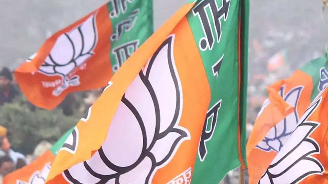 Tamil Nadu BJP office-bearers to meet on October 3