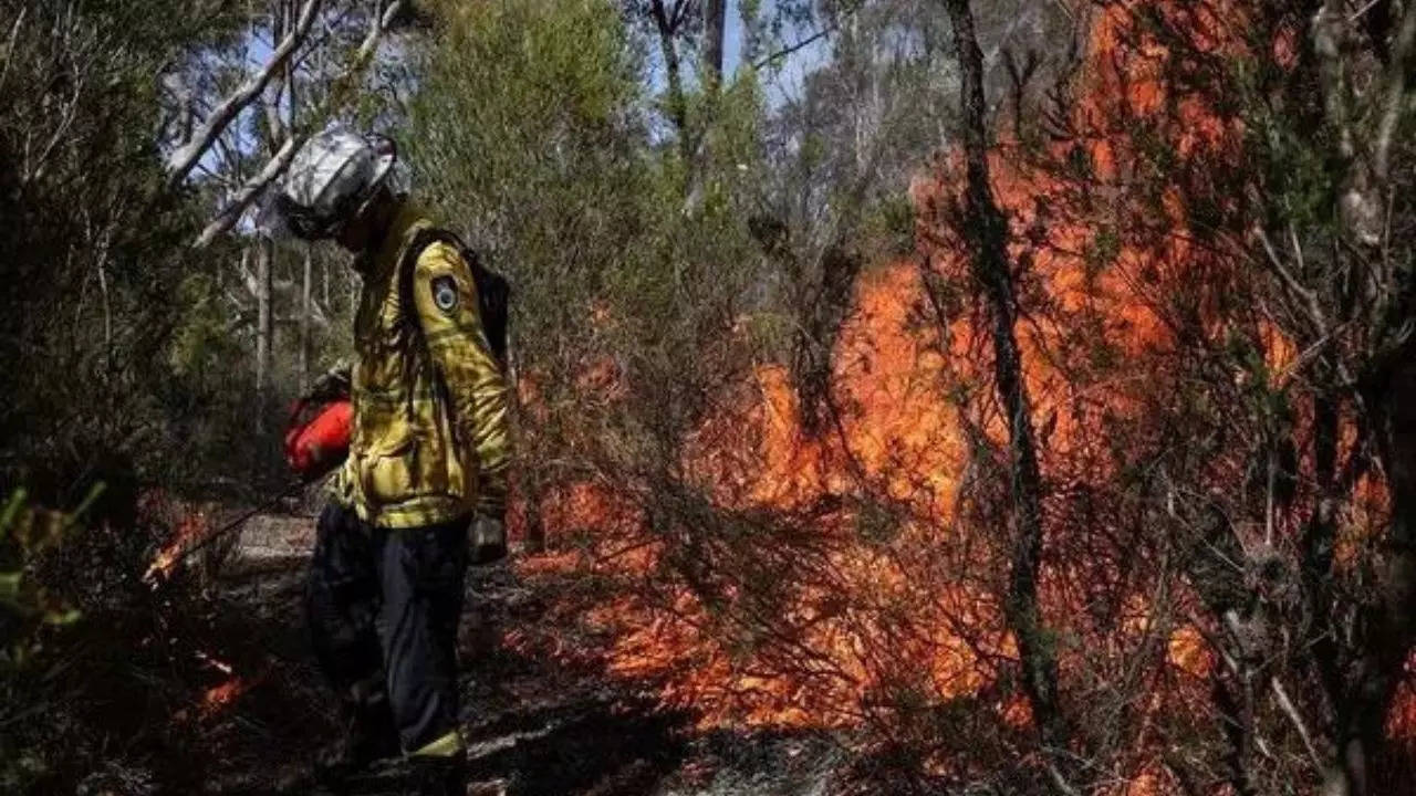 ऑस्ट्रेलिया बुशफ़ायर: वसंत की गर्मी के बीच दक्षिणपूर्व ऑस्ट्रेलिया के कुछ हिस्सों में झाड़ियों में लगी आग