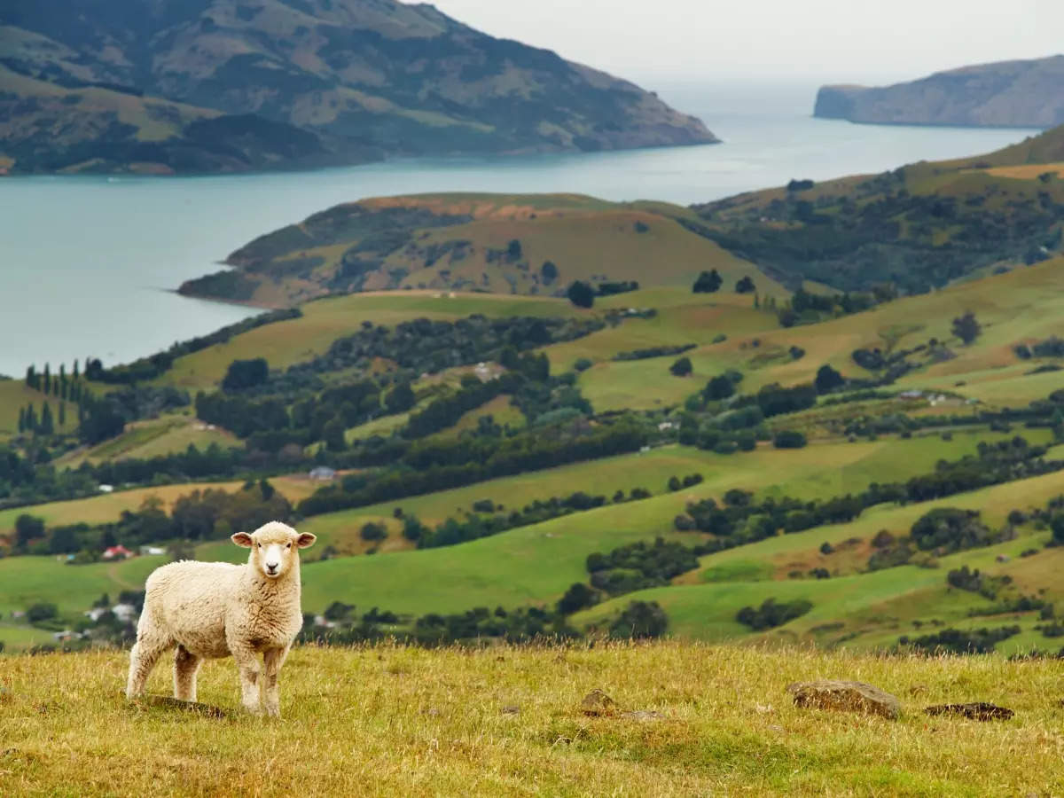 Prettiest natural sights in New Zealand for the traveller in you