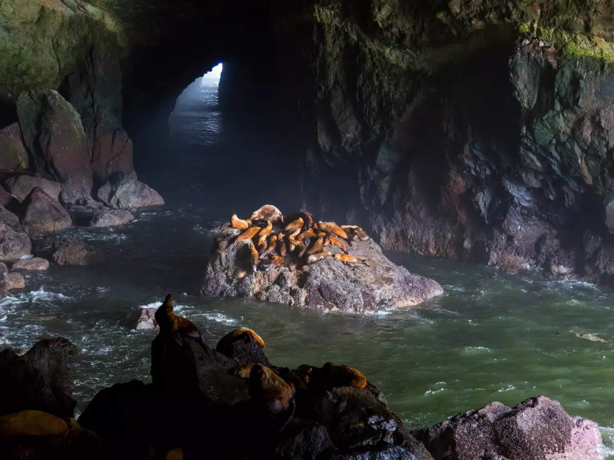 Jewel of the USA’s Oregon Coast - the Sea Lion Caves