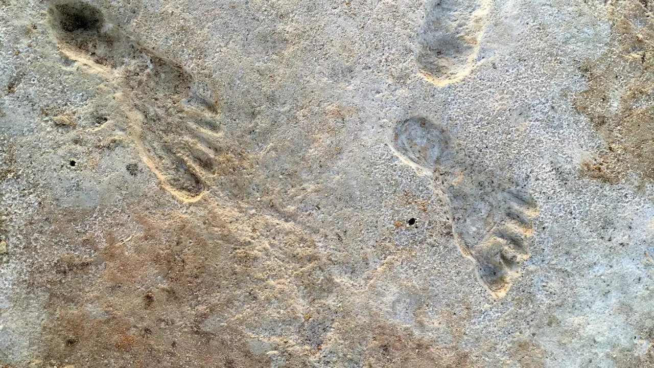 Further evidence points to footprints in New Mexico being the oldest sign of humans in Americas