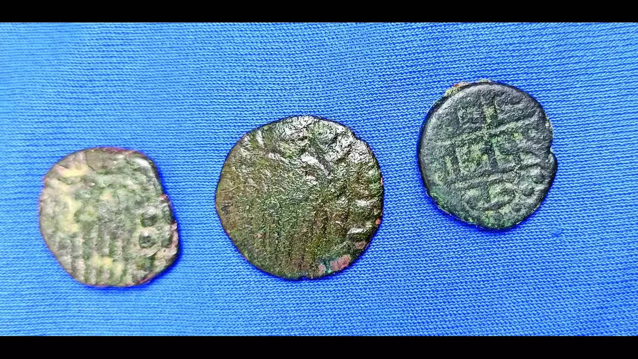 Ancient Chola and Vijayanagara era coins found near Panruti 