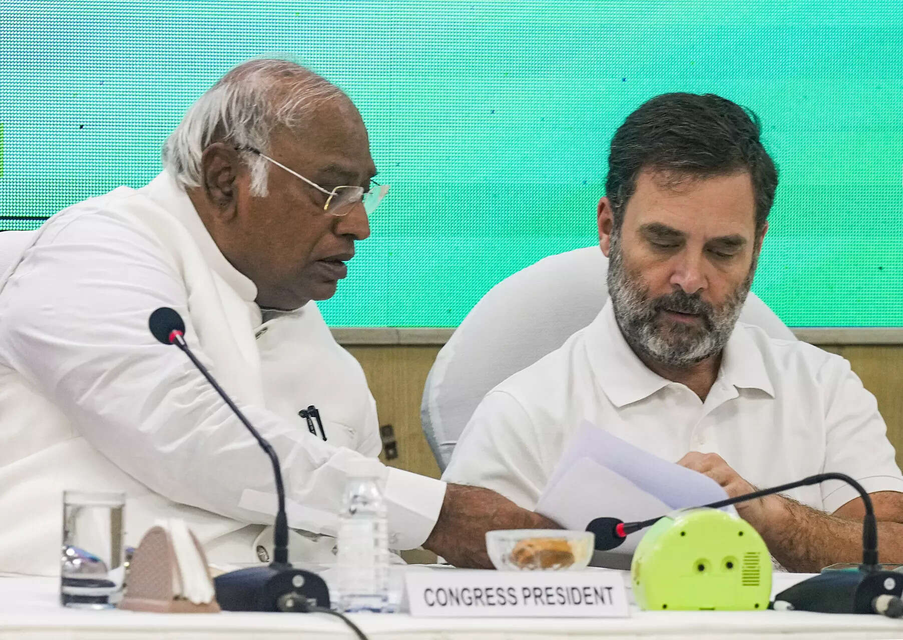 Cong supports nationwide caste census: Rahul