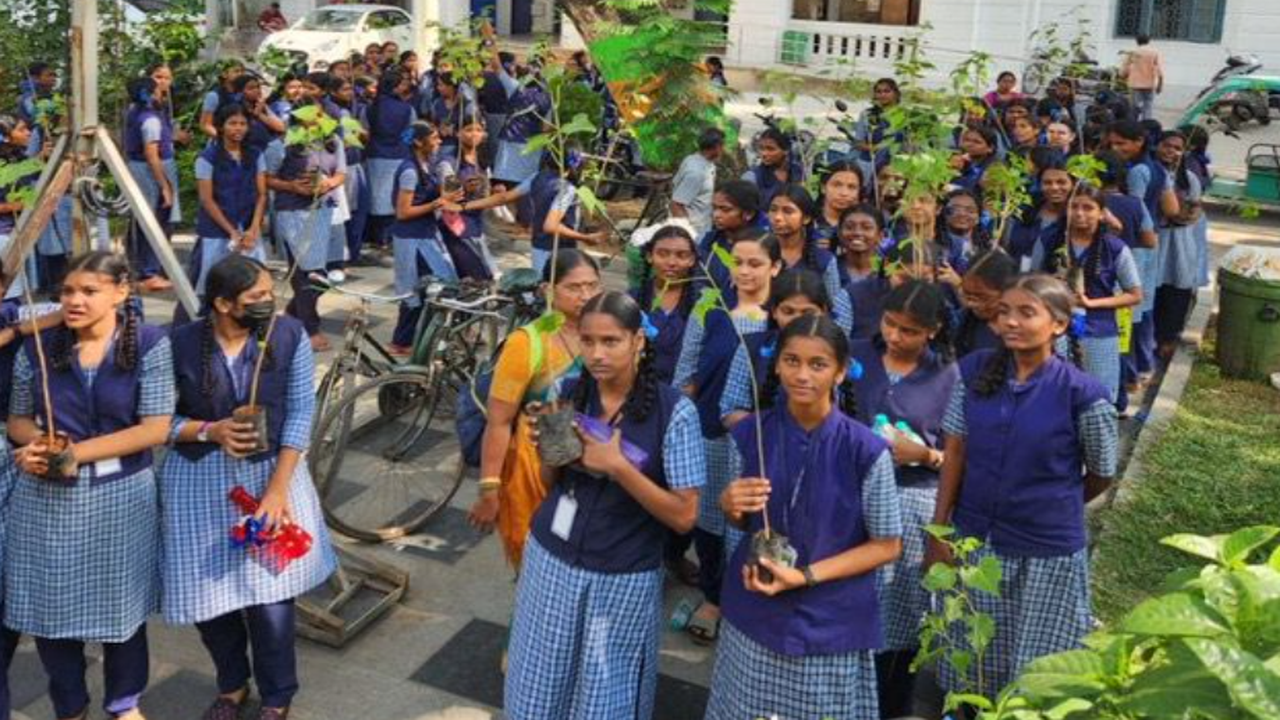 Chennai Corporation to plant 8,000 saplings on school campuses