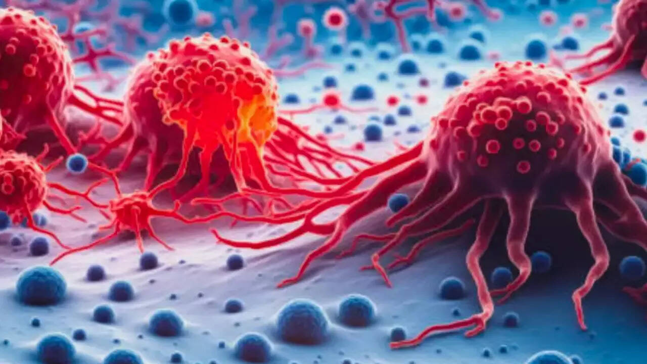 IIT-B startup ImmunoACT’s “affordable” blood cancer therapy gets regulatory approval – a first for India’s CAR-T cell therapy