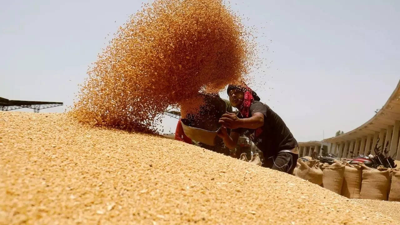 Wheat prices at 8-month high on festival demand, tight supply