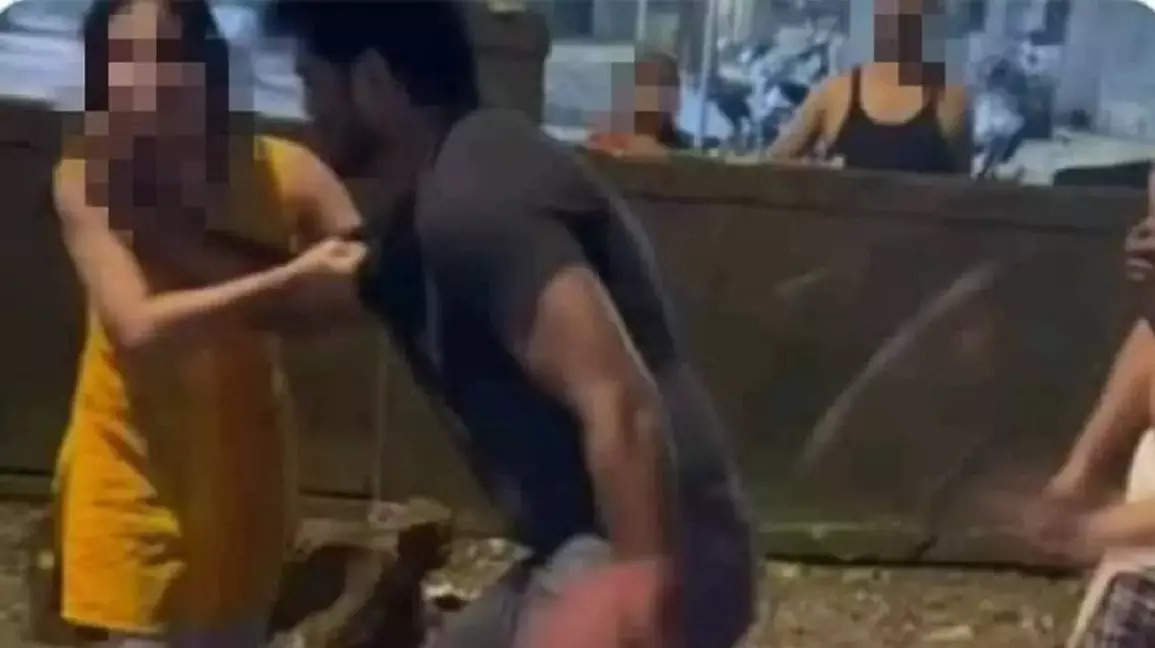 Man accused of assaulting woman feeding stray dogs arrested in Mumbai | Mumbai News – Times of India