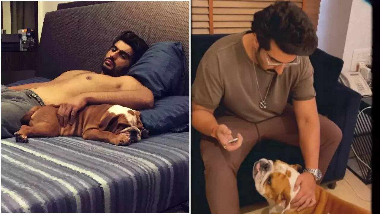 Arjun remembers his pet dog Maximus: Video