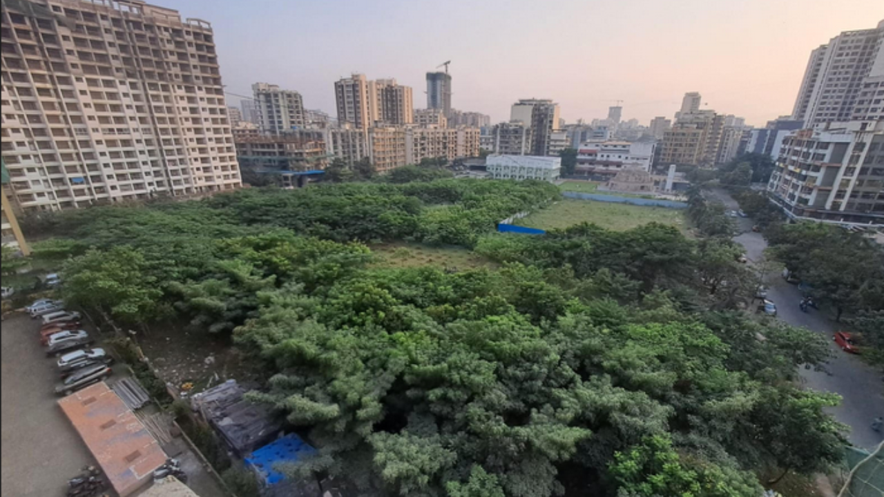 Uprooting of over 3,000 trees for swimming pool in Mumbai’s Mira Road halted | Mumbai News – Times of India