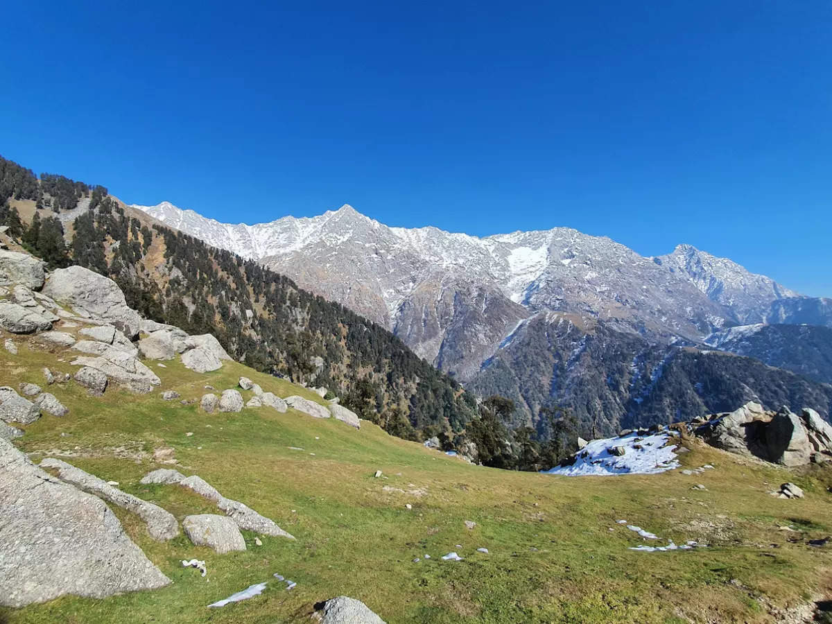 What is Dharamsala’s Snowline Trek all about?