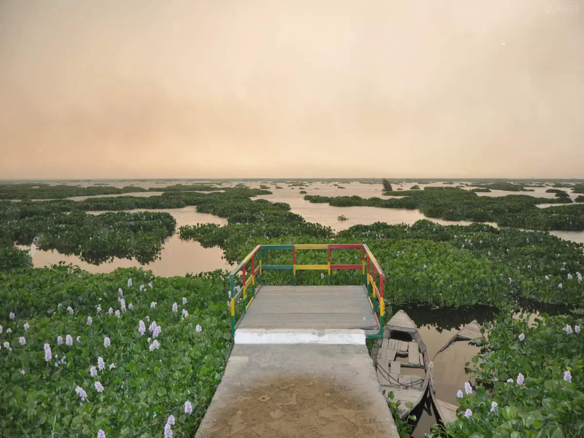 Harike wetlands in Punjab is a biodiversity haven that must be explored