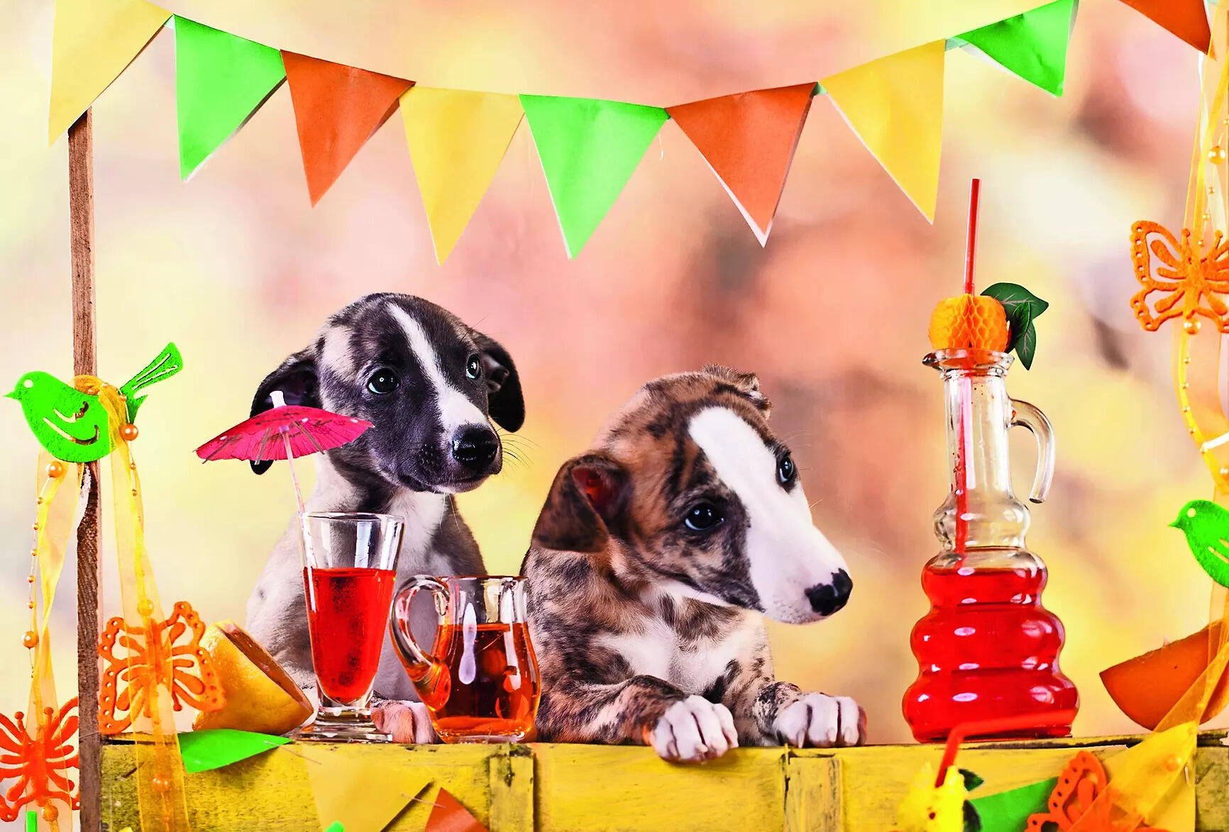 Diwali: Try These Diwali Mocktails For Your Pets - Times of India