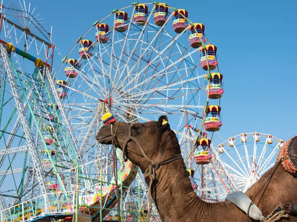 Pushkar Camel Fair: Where tradition meets carnival
