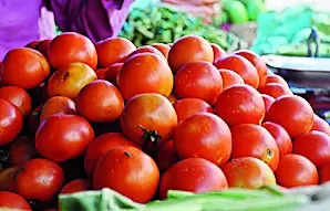 Processed Tomato Products Now Growing In Popularity: Experts | – Times of India