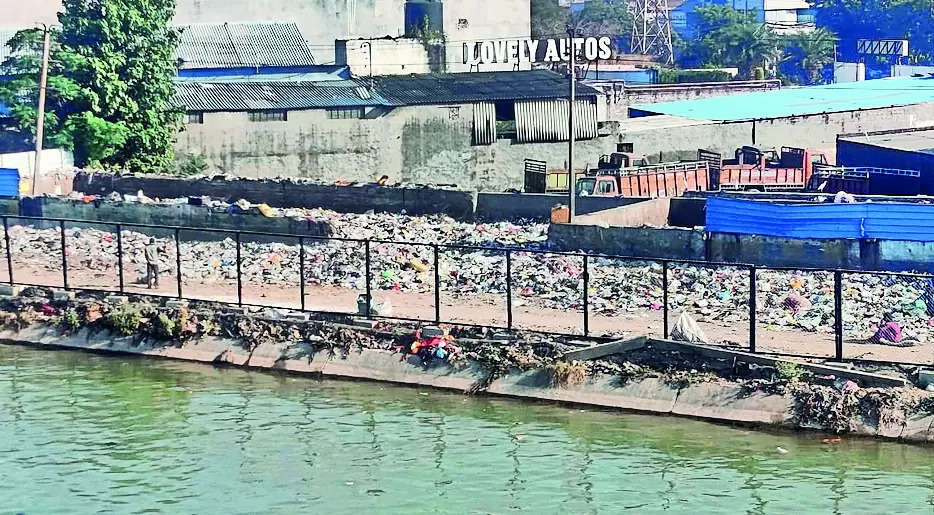 MC’s report does not reflect any ‘satisfactory steps’: NGT