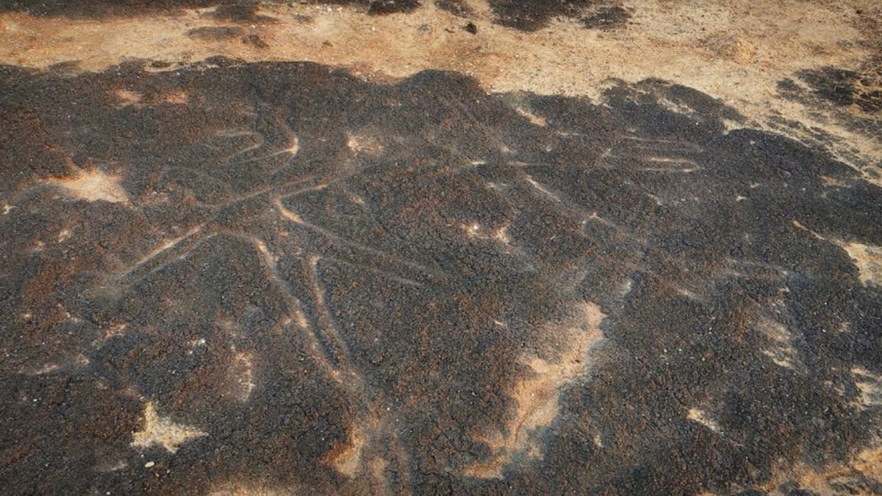 Primitive rock art of Avalakkipare re-examined