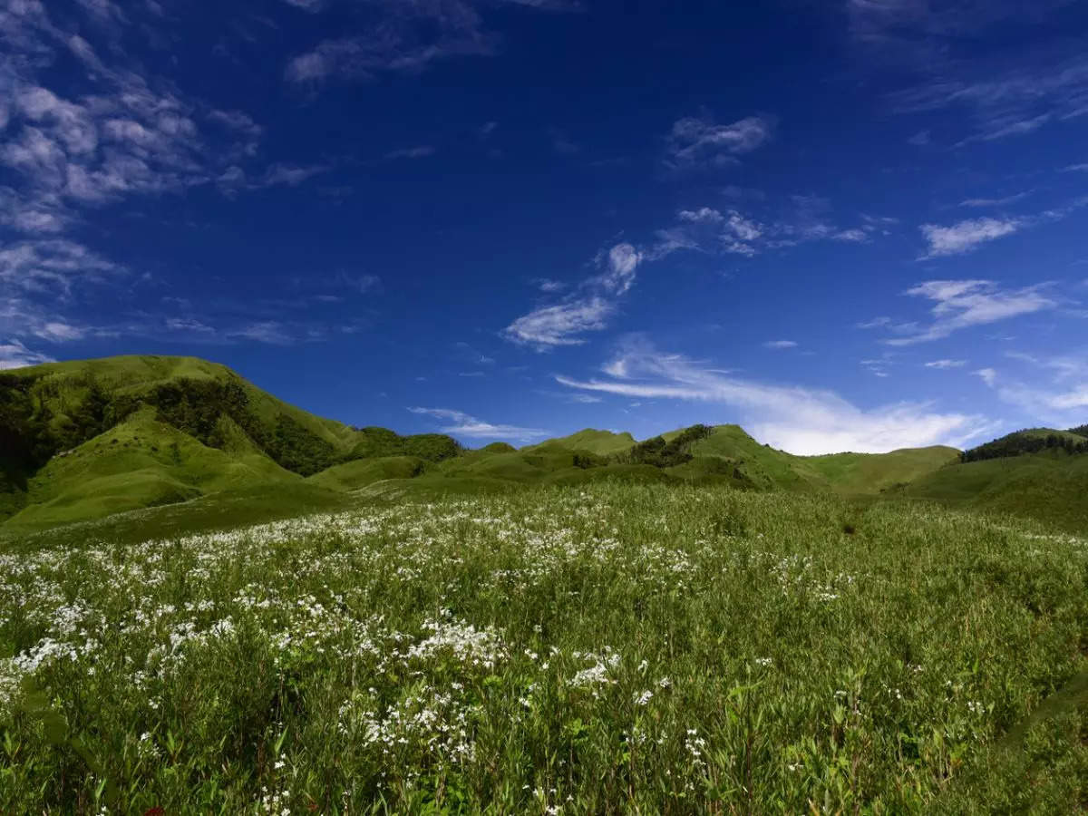 Dzukou Valley: Kohima's enigmatic natural wonder