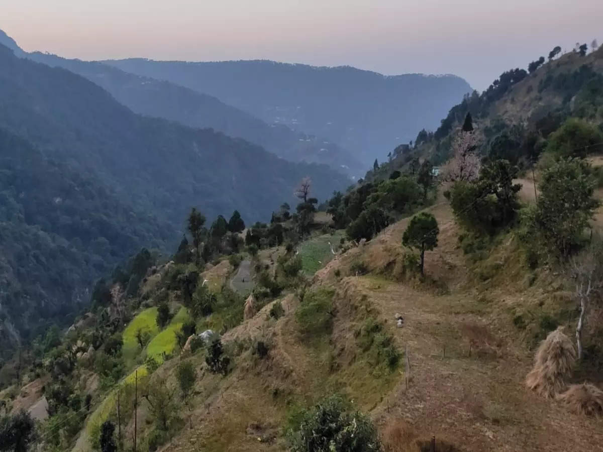 Pangot: This charming Kumaoni village is a tranquil haven